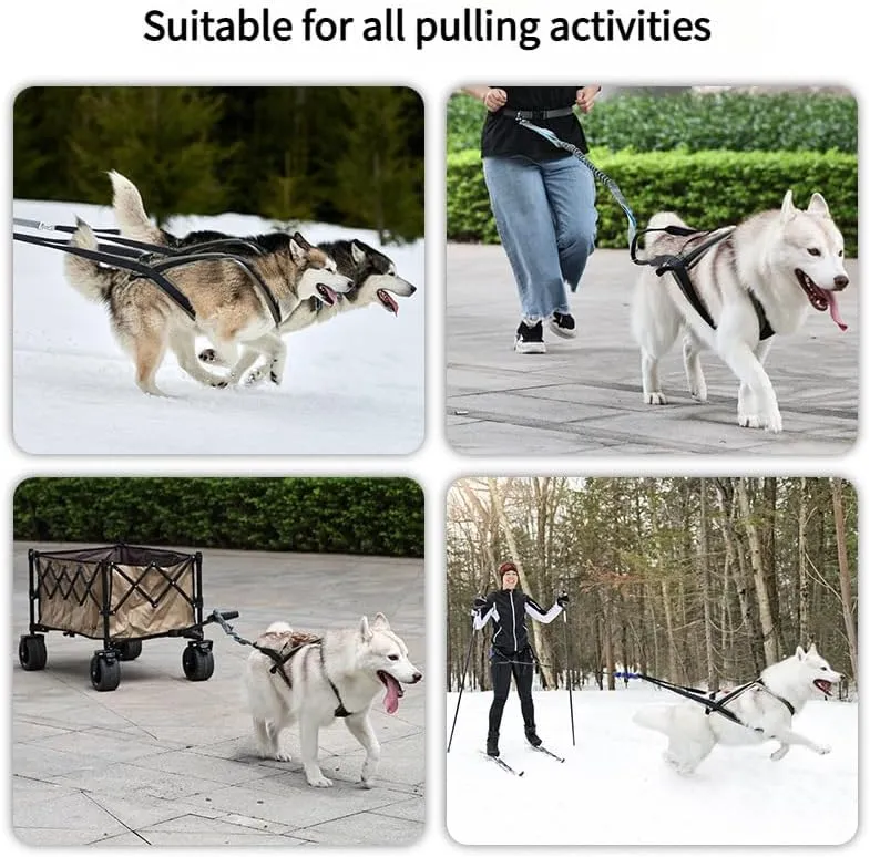 Professional Sled Dog Harness for Running, Weight Pulling & Canicross - Multi-Functional Training Gear with Wheeled Sled Adaptability(XL)