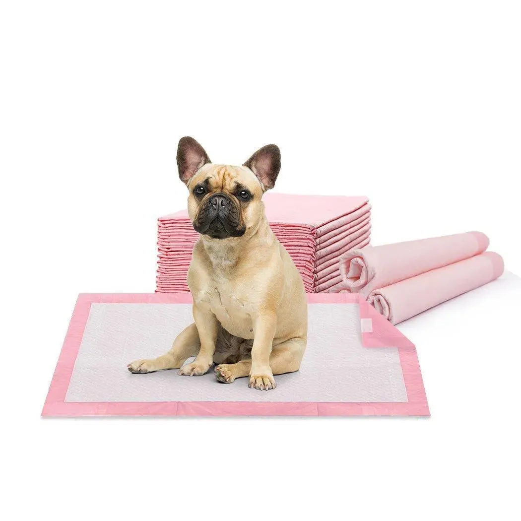 Puppy Pack - EXTRA 10% OFF