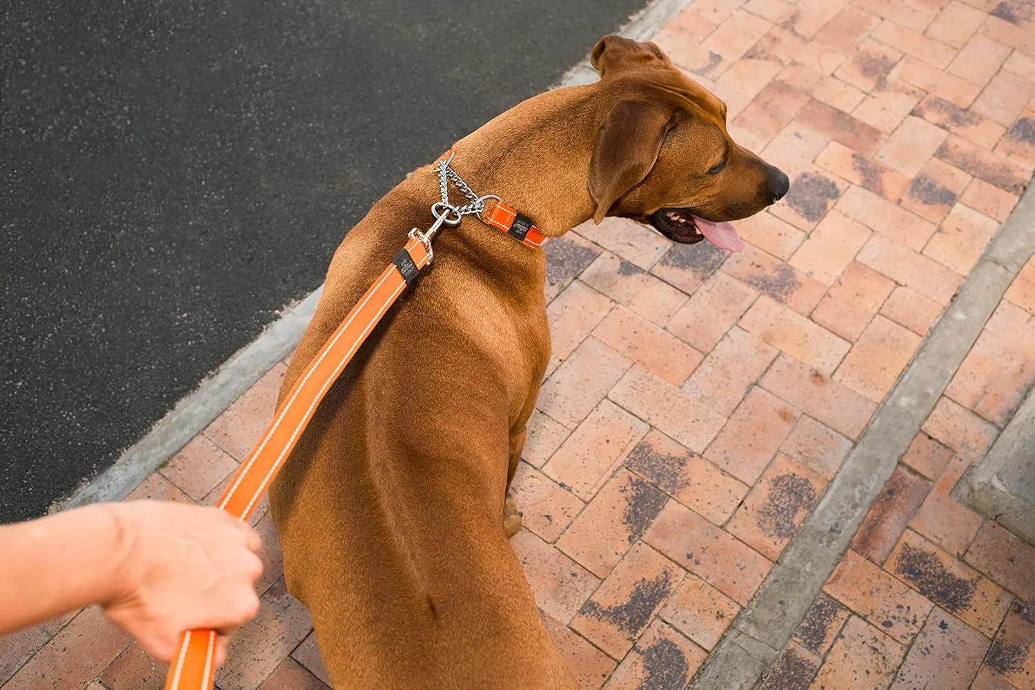 Reflective Dog Leash for Extra Large Dogs, 1" wide, 6' long, Pink