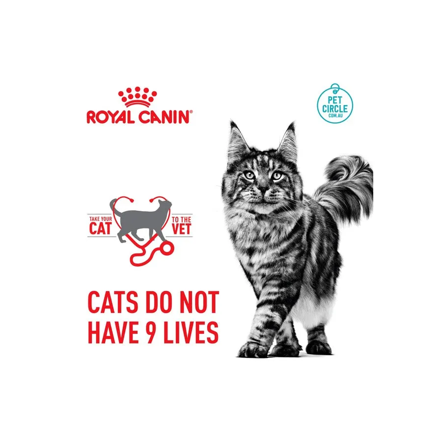 Royal Canin Digestive Care Adult Dry Cat Food