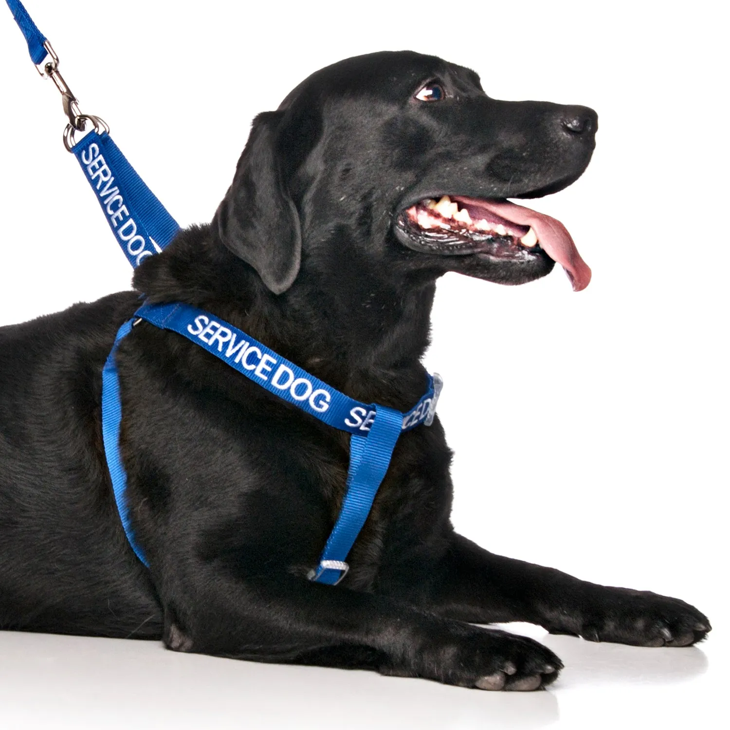 SERVICE DOG - L/XL adjustable Strap Harness