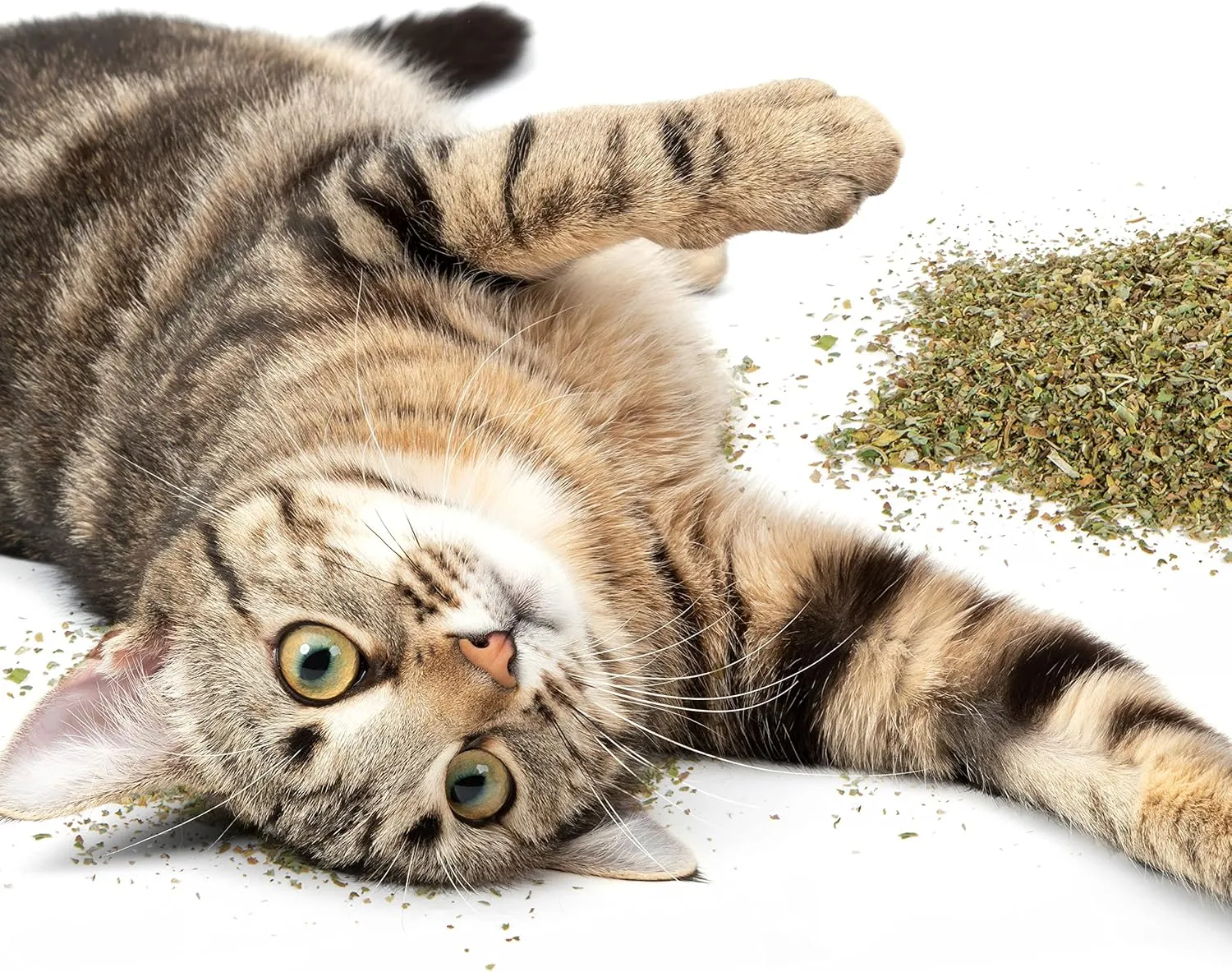 SmartyKat Organic Catnip for Cats & Kittens, Resealable Pouch - 1 Ounce
