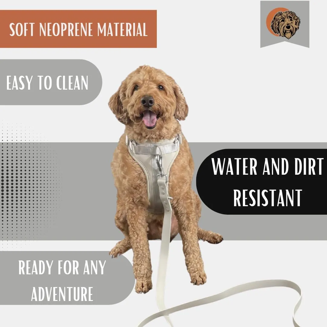 Tito's Closet Medium Dog Harness and Leash Set, Soft Neoprene Material, No Pull Dog Harness, Gray, Medium