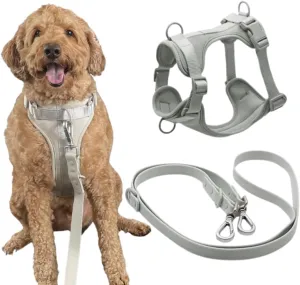 Tito's Closet Medium Dog Harness and Leash Set, Soft Neoprene Material, No Pull Dog Harness, Gray, Medium