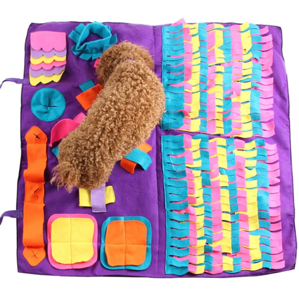Training Dog Mat