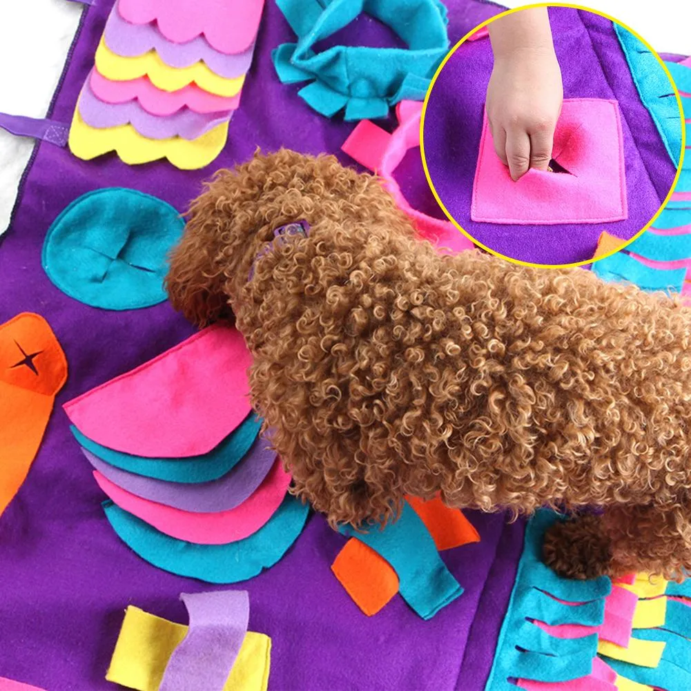 Training Dog Mat