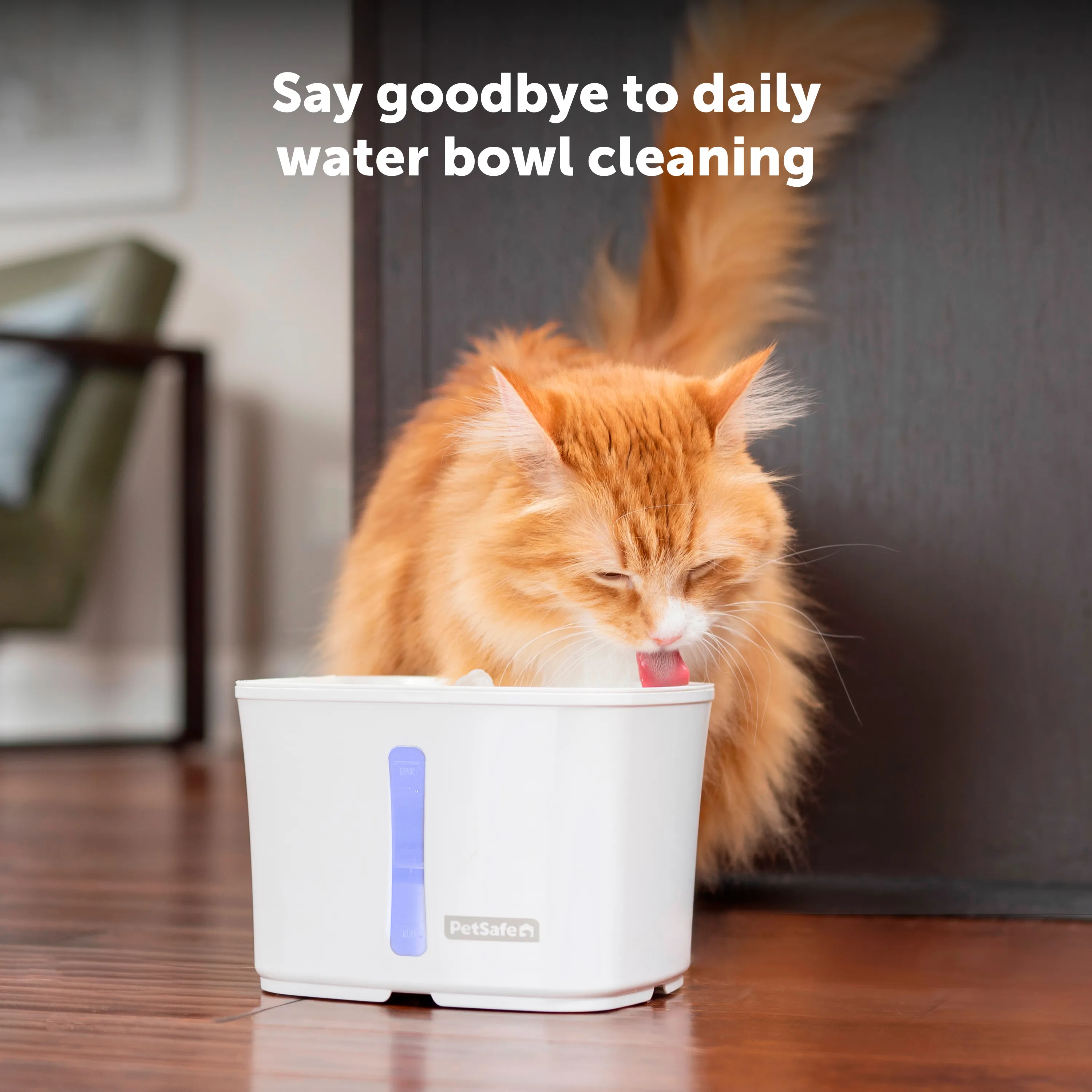 Viva™ Pet Fountain, 1.8 Litre