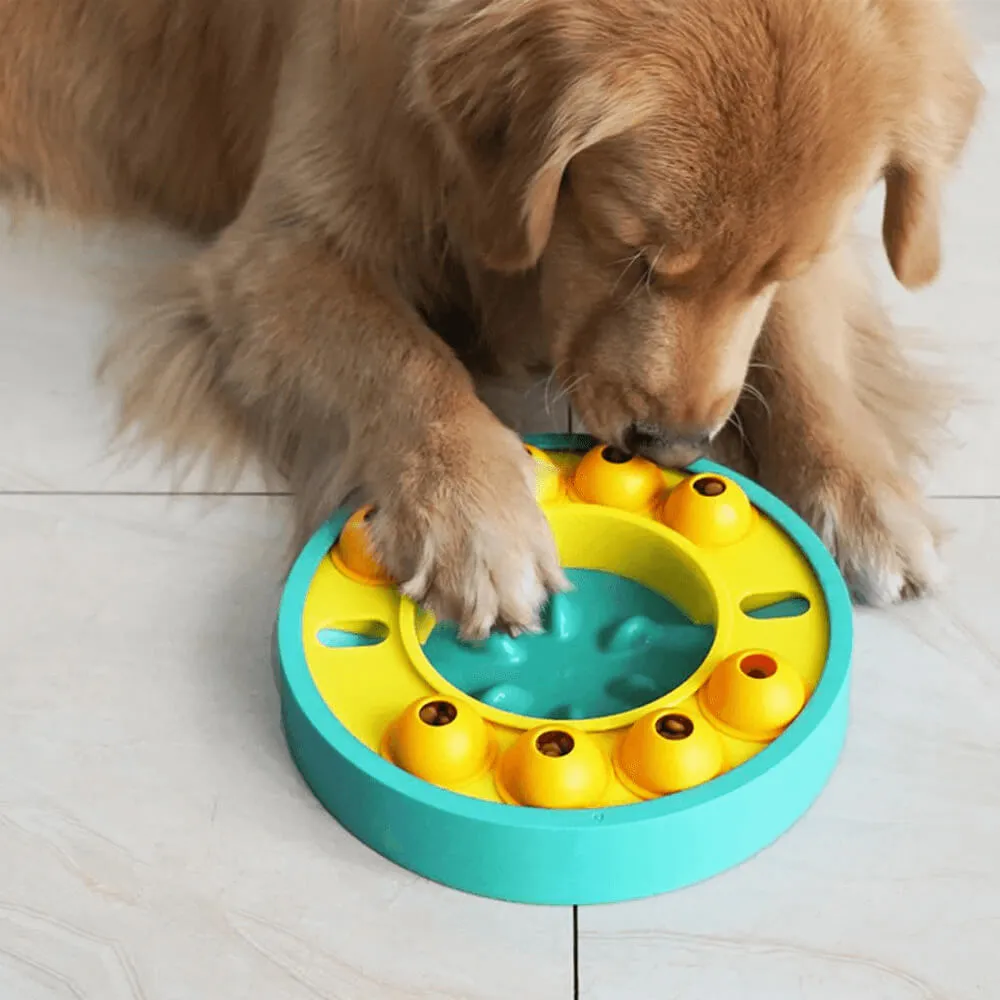 Wisdom Dog Toys Slow Leakage Feeding Training