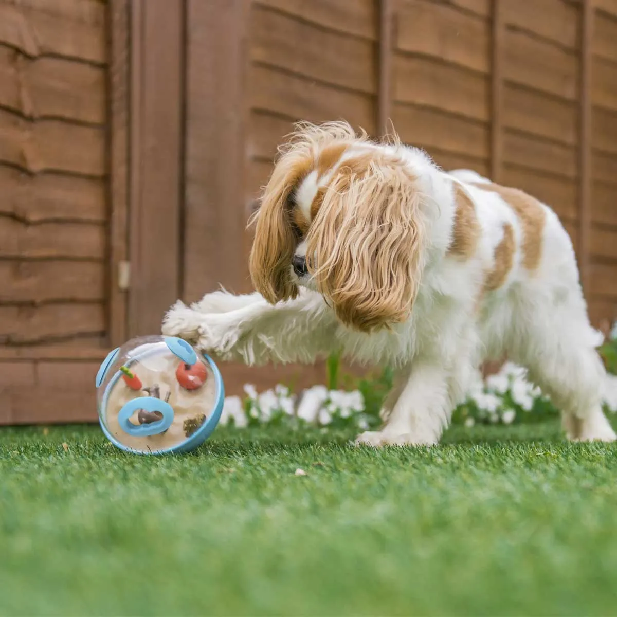 Wobble Ball Enrichment Dog Toy
