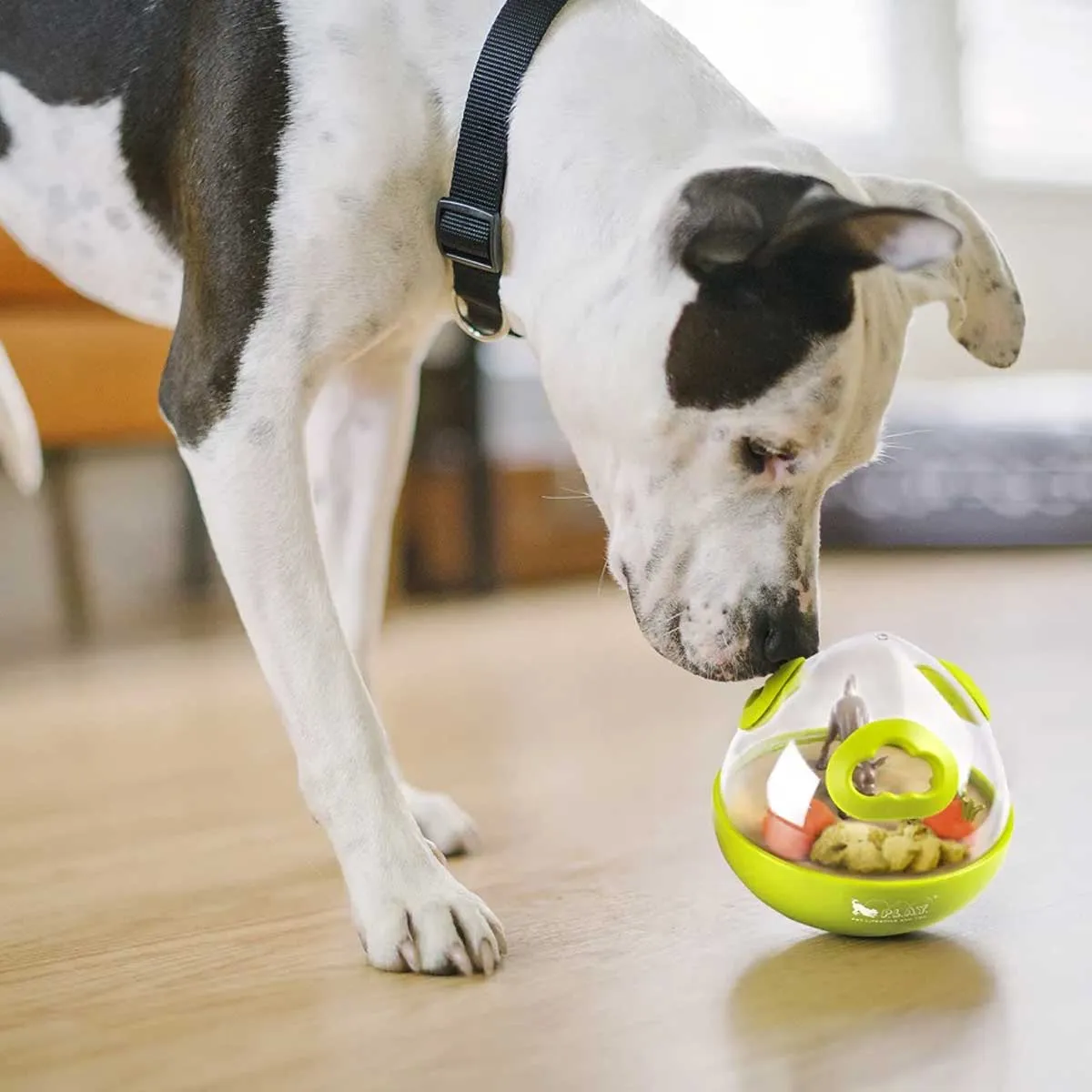 Wobble Ball Enrichment Dog Toy