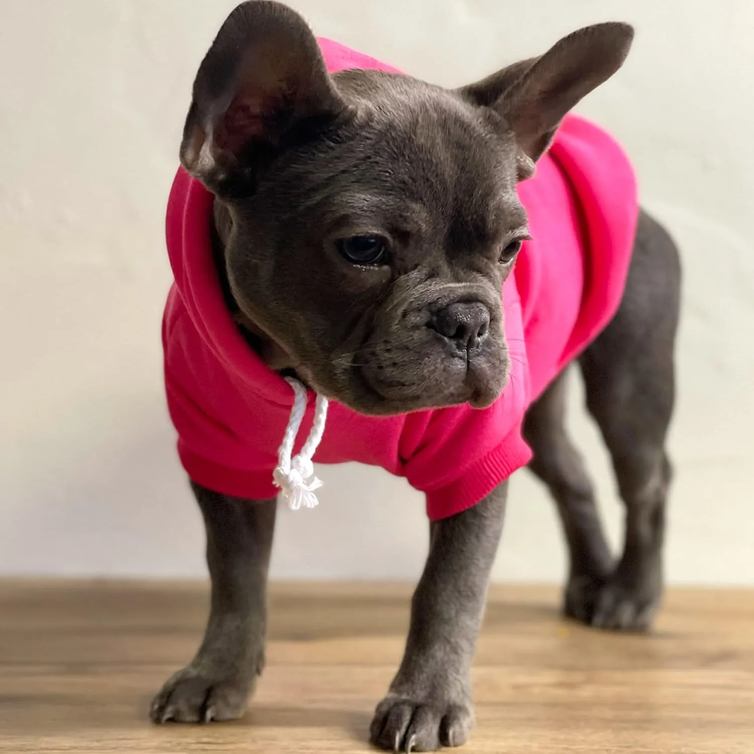 XOXO Valentine's Day Dog Hoodie Fleece Lined Pullover Sweatshirt with Leash Hole (Hot Pink, X-Large 978)