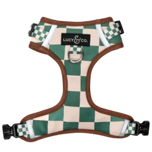 You're a Square No-Pull Harness