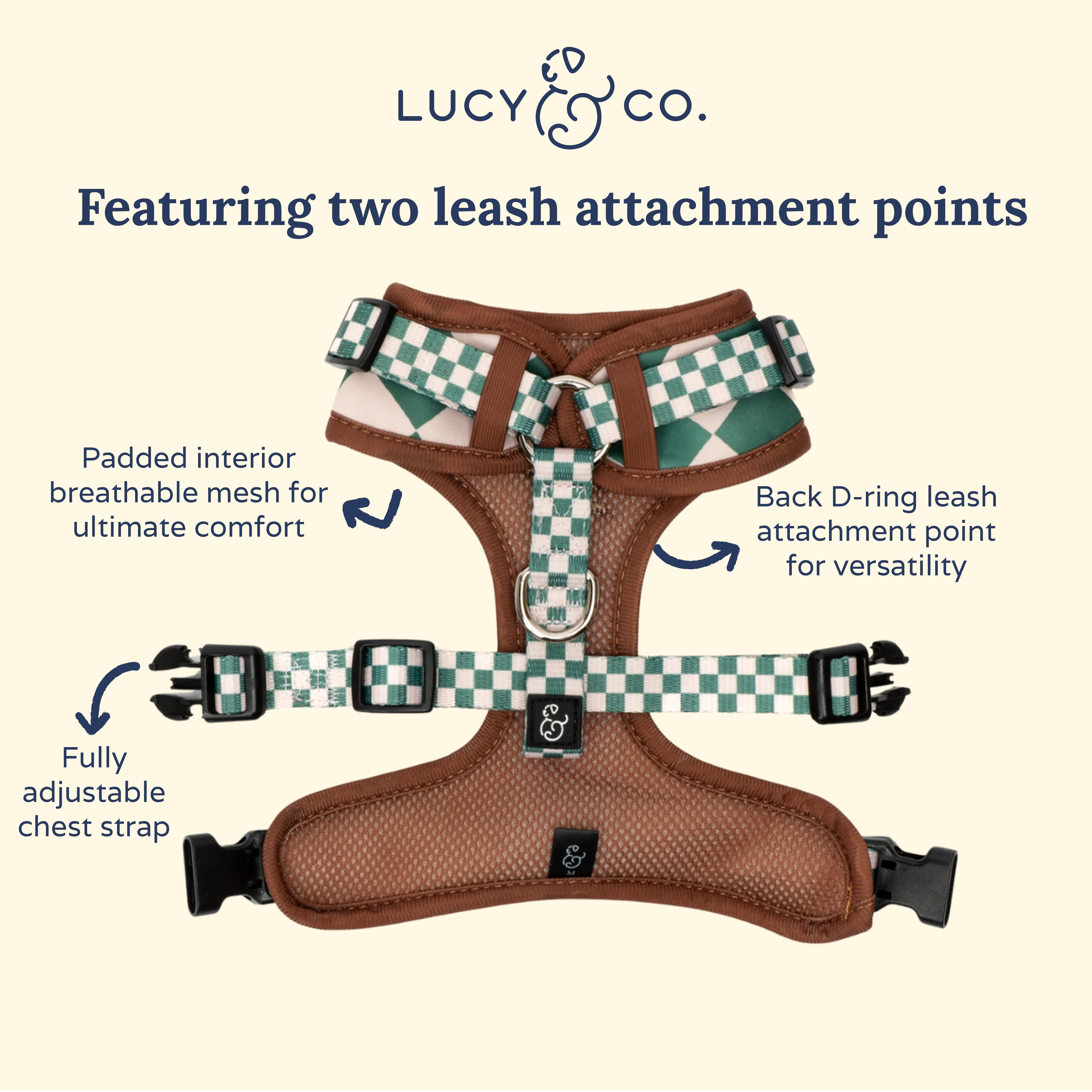 You're a Square No-Pull Harness